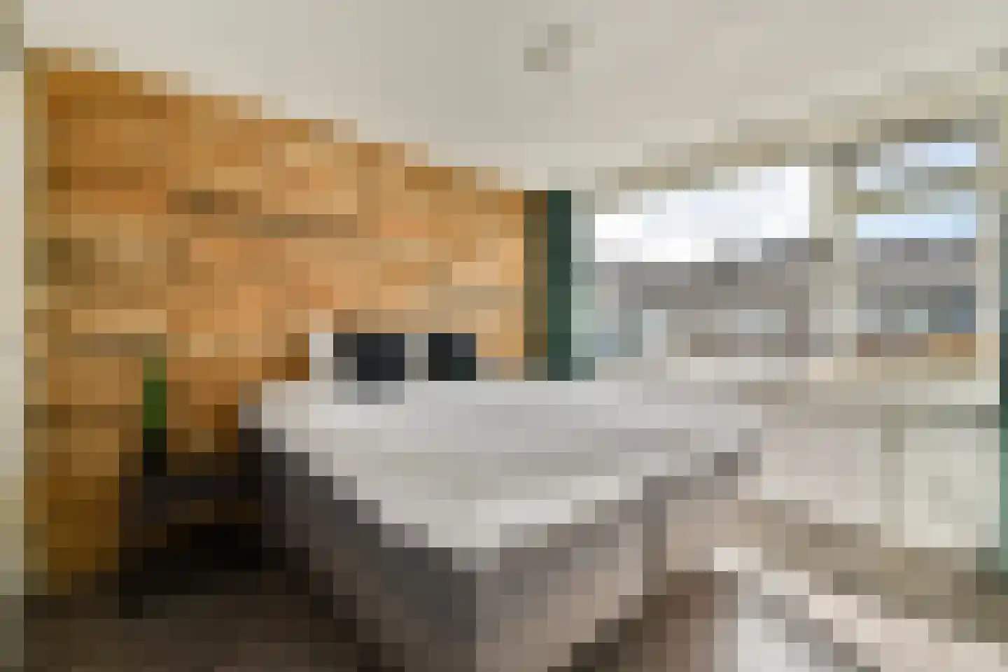 Jacq. Perkstraat 20 Spijkenisse thumbnail 10