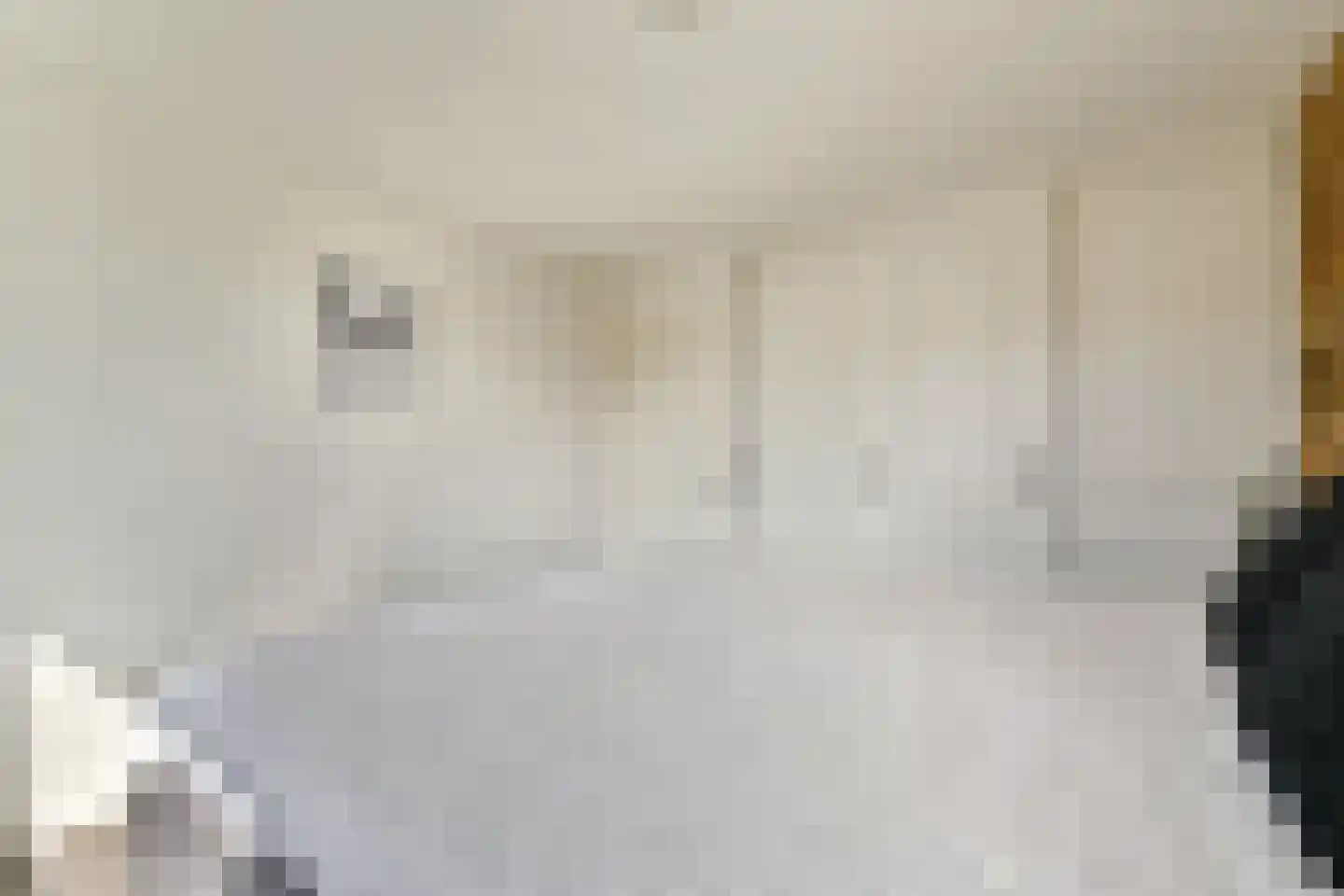 Jacq. Perkstraat 20 Spijkenisse thumbnail 11