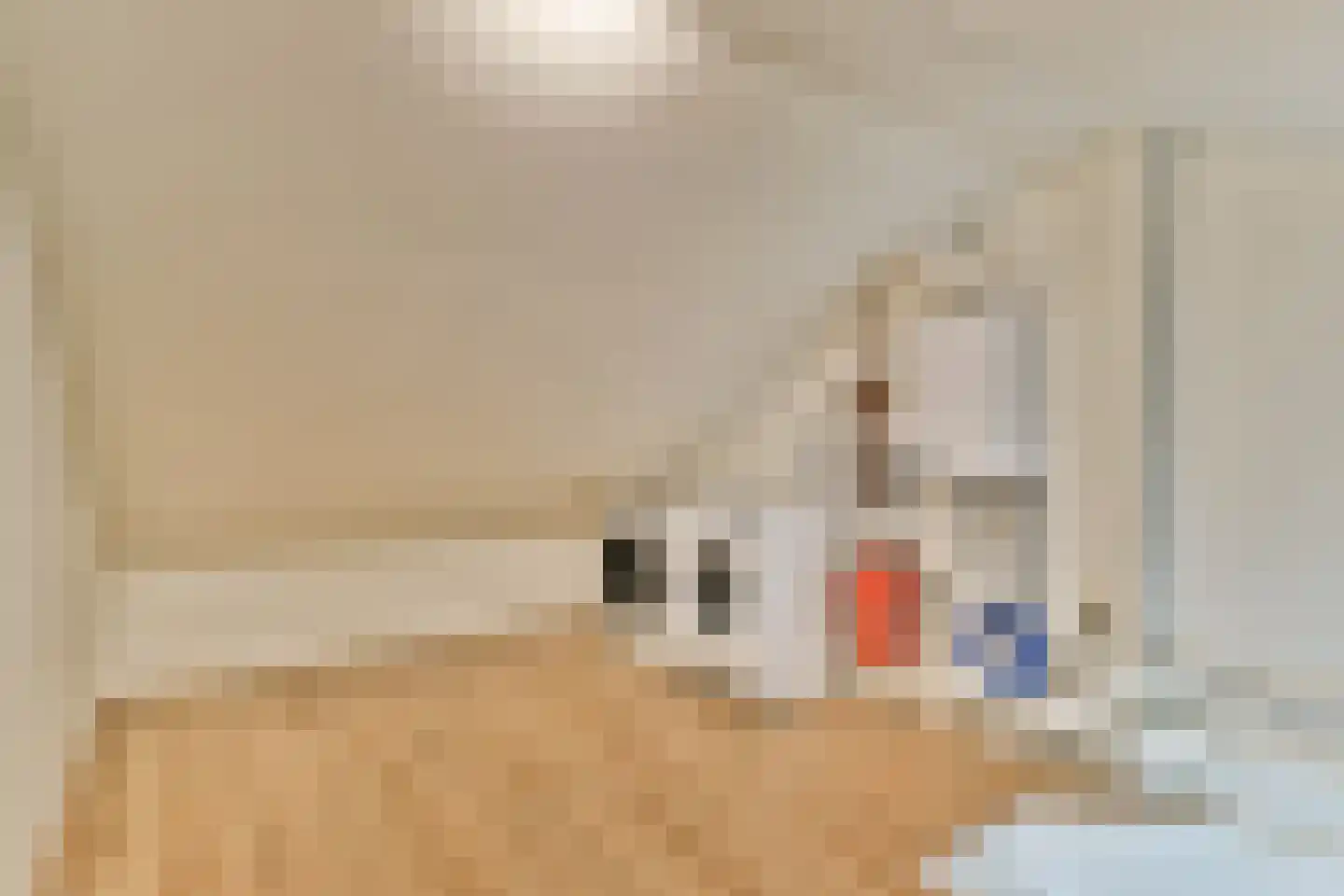 Jacq. Perkstraat 20 Spijkenisse thumbnail 21