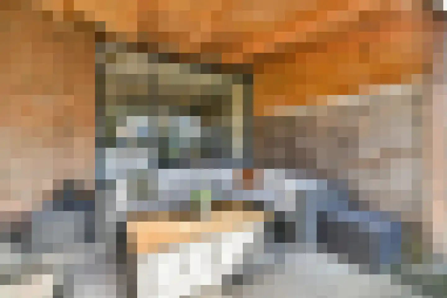Jacq. Perkstraat 20 Spijkenisse thumbnail 23