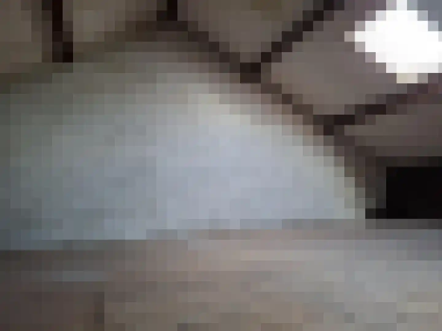 Jacq. Perkstraat 32 Spijkenisse thumbnail 12