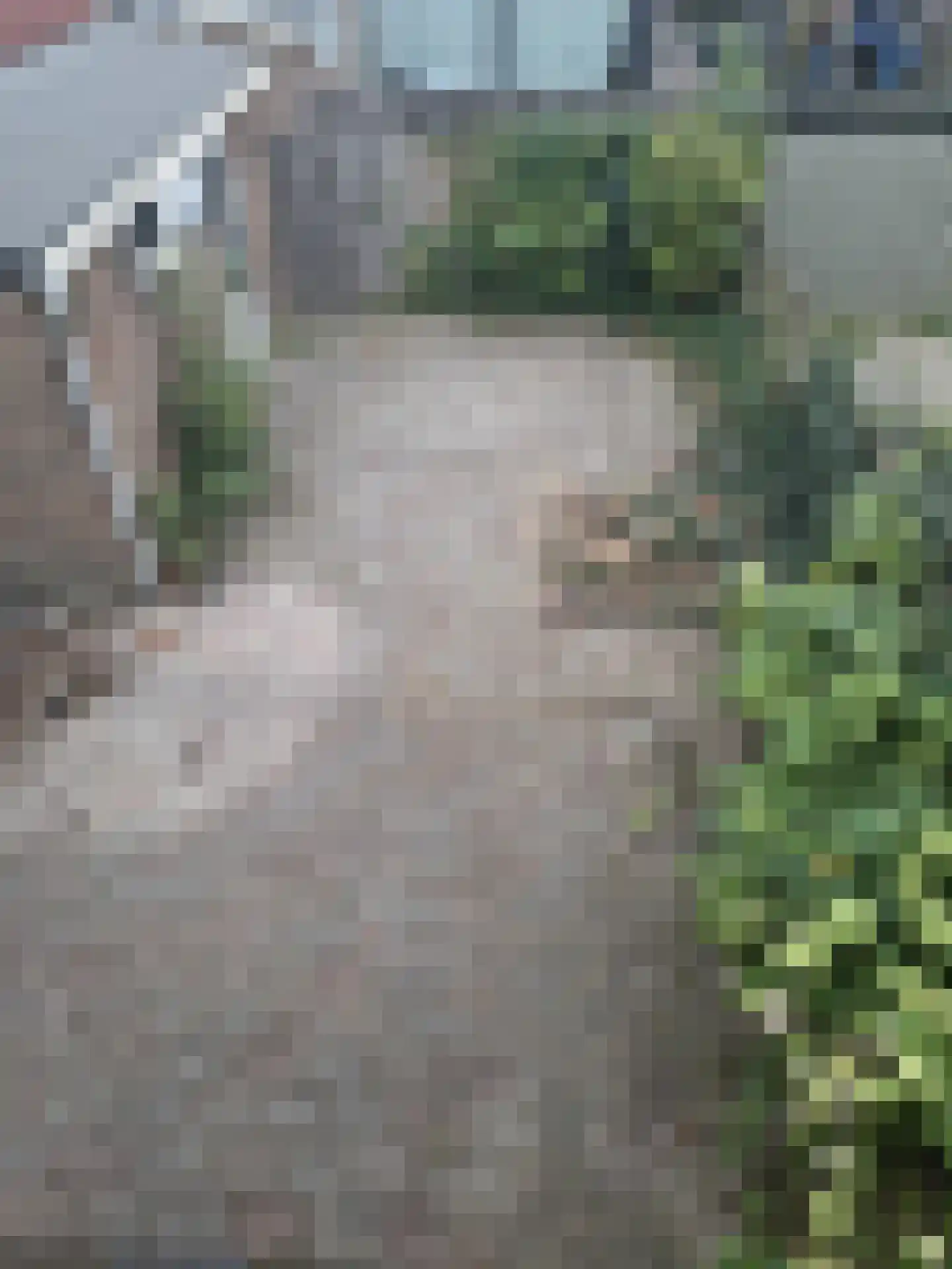 Jacq. Perkstraat 7 Spijkenisse thumbnail 15