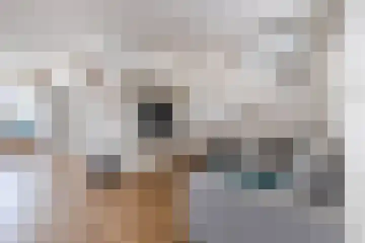 Jacquardstraat 15 Geldrop thumbnail 10