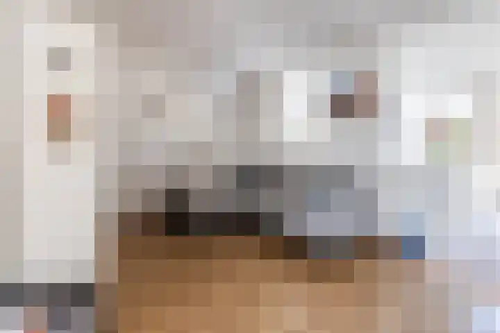 Jacquardstraat 15 Geldrop thumbnail 11