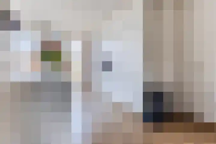 Jacquardstraat 15 Geldrop thumbnail 13