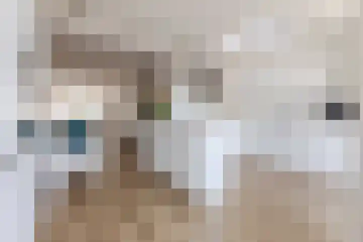 Jacquardstraat 15 Geldrop thumbnail 14