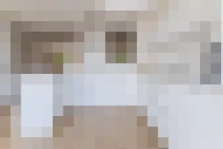 Jacquardstraat 15 Geldrop thumbnail 15