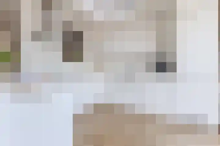 Jacquardstraat 15 Geldrop thumbnail 16