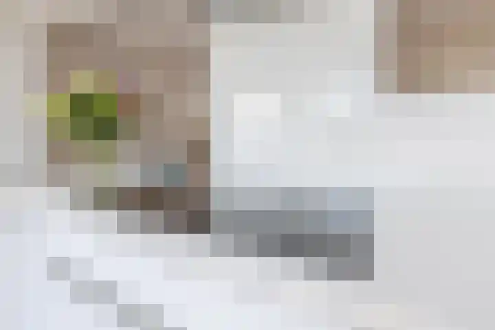 Jacquardstraat 15 Geldrop thumbnail 17
