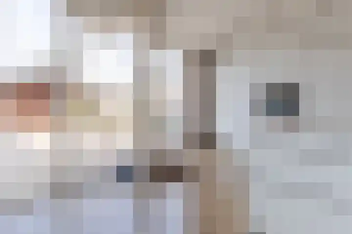 Jacquardstraat 15 Geldrop thumbnail 18