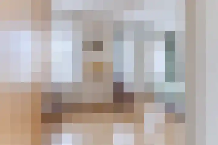 Jacquardstraat 15 Geldrop thumbnail 22