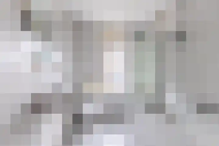 Jacquardstraat 15 Geldrop thumbnail 25