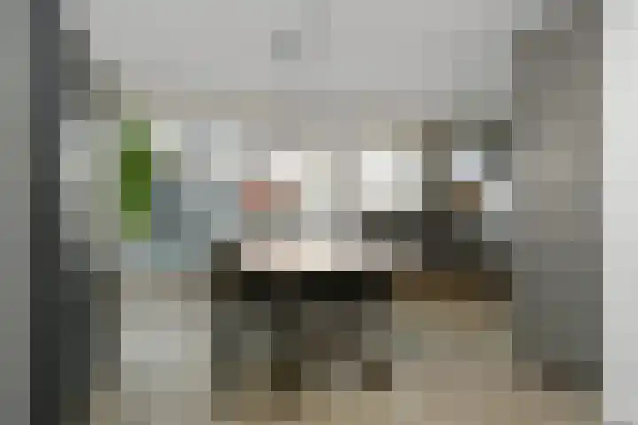Jacquardstraat 17 Geldrop thumbnail 11