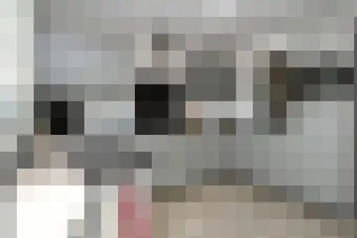 Jacquardstraat 17 Geldrop thumbnail 14
