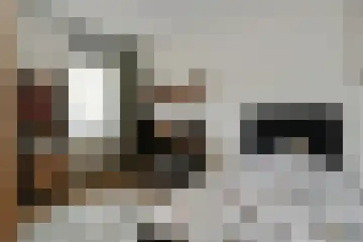 Jacquardstraat 17 Geldrop thumbnail 17