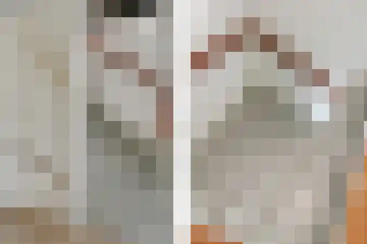 Jacquardstraat 17 Geldrop thumbnail 21