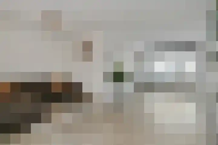 Jacquardstraat 17 Geldrop thumbnail 6