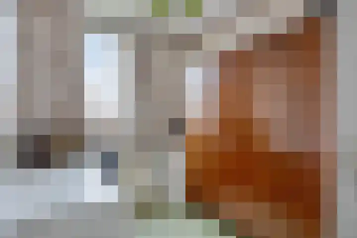 Jacquardstraat 17 Geldrop thumbnail 9