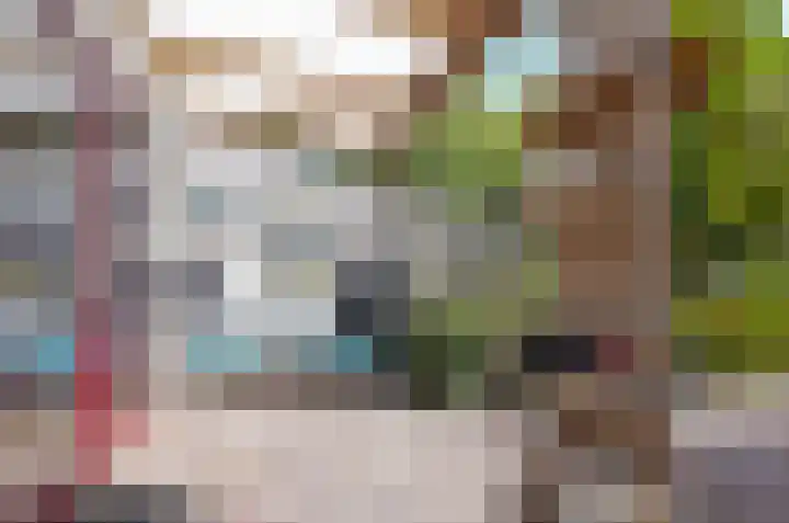 Photo of Jacqueline A. van Stralen