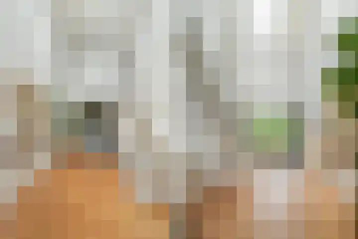 Jacqueline de Grezlaan 23 Breda thumbnail 15
