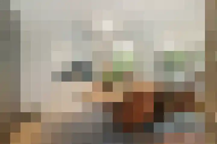 Jacqueline de Grezlaan 23 Breda thumbnail 43