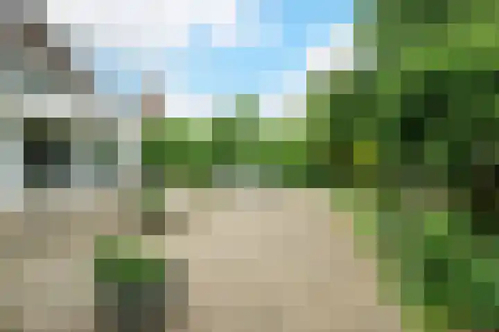 Jacqueline de Grezlaan 23 Breda thumbnail 5