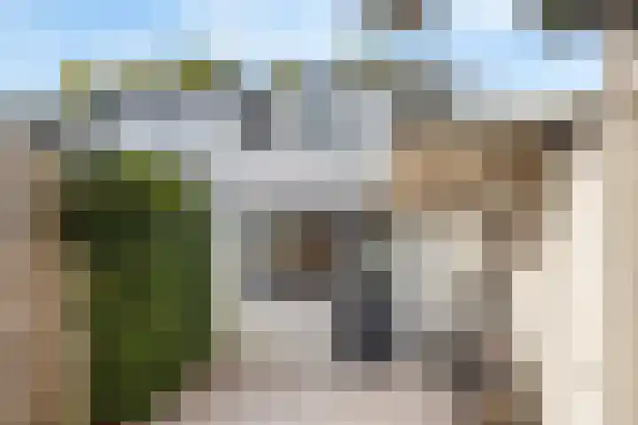 Jacqueline de Grezlaan 3 Breda thumbnail 21