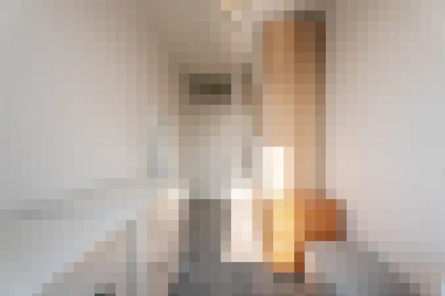 Jacqueline van der Waalsheem 21 Hillegom thumbnail 16