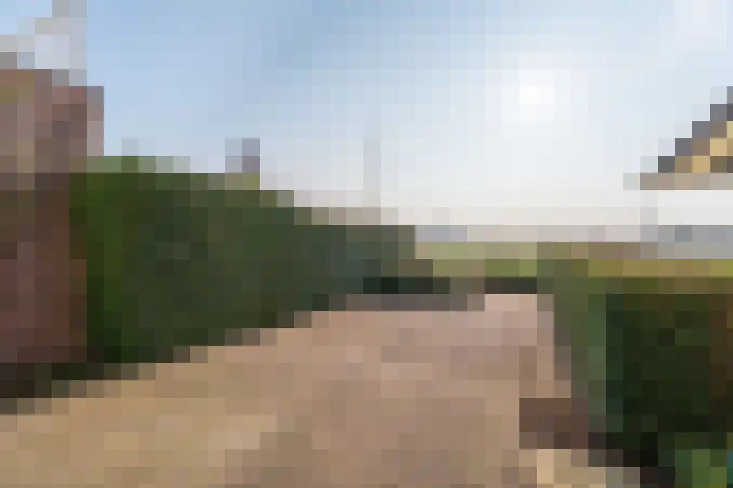 Jacqueline van der Waalsheem 21 Hillegom thumbnail 25