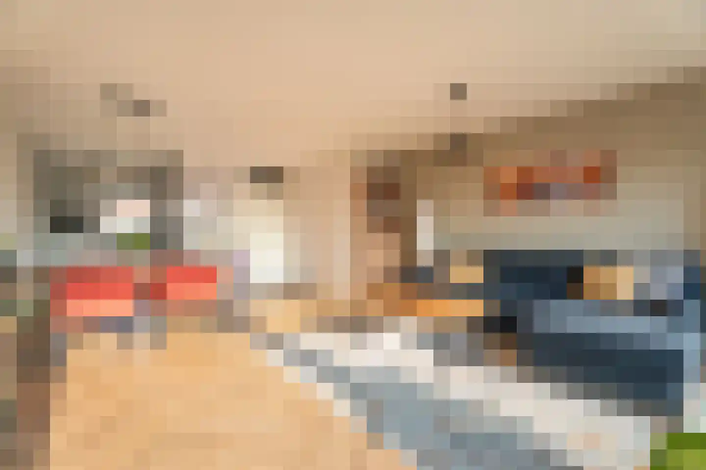 Jacqueline van der Waalsheem 21 Hillegom thumbnail 5