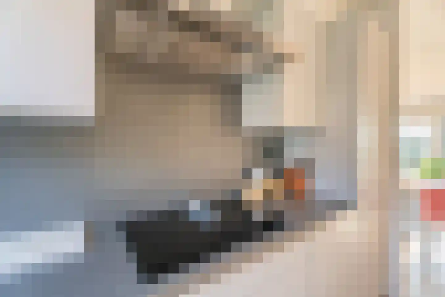 Jacqueline van der Waalsheem 21 Hillegom thumbnail 6