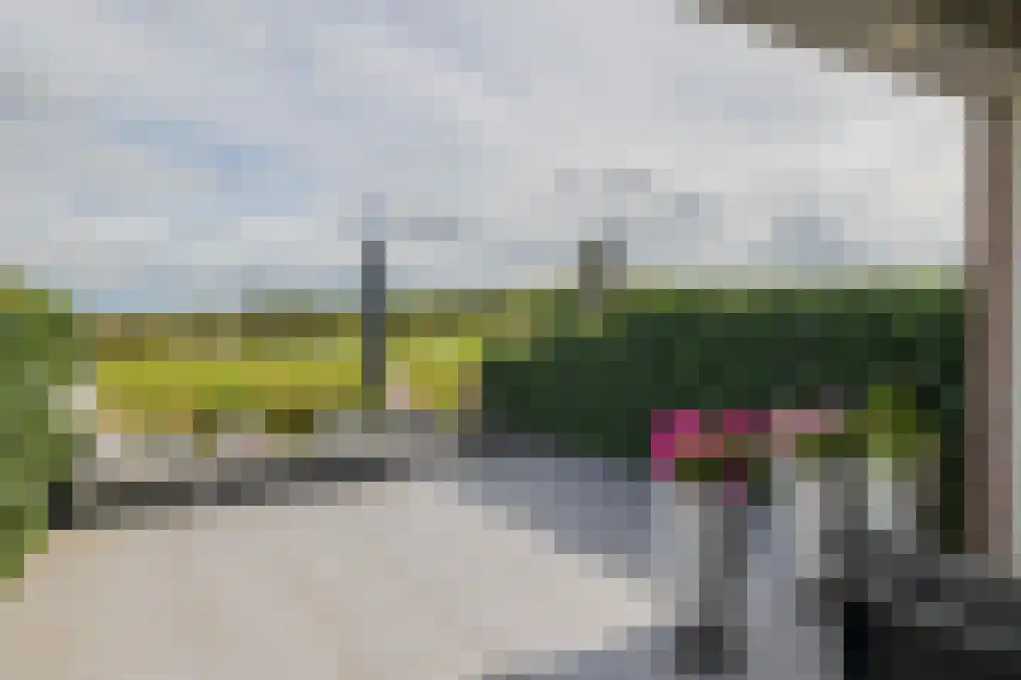 Jacqueline van der Waalsheem 39 Hillegom thumbnail 21