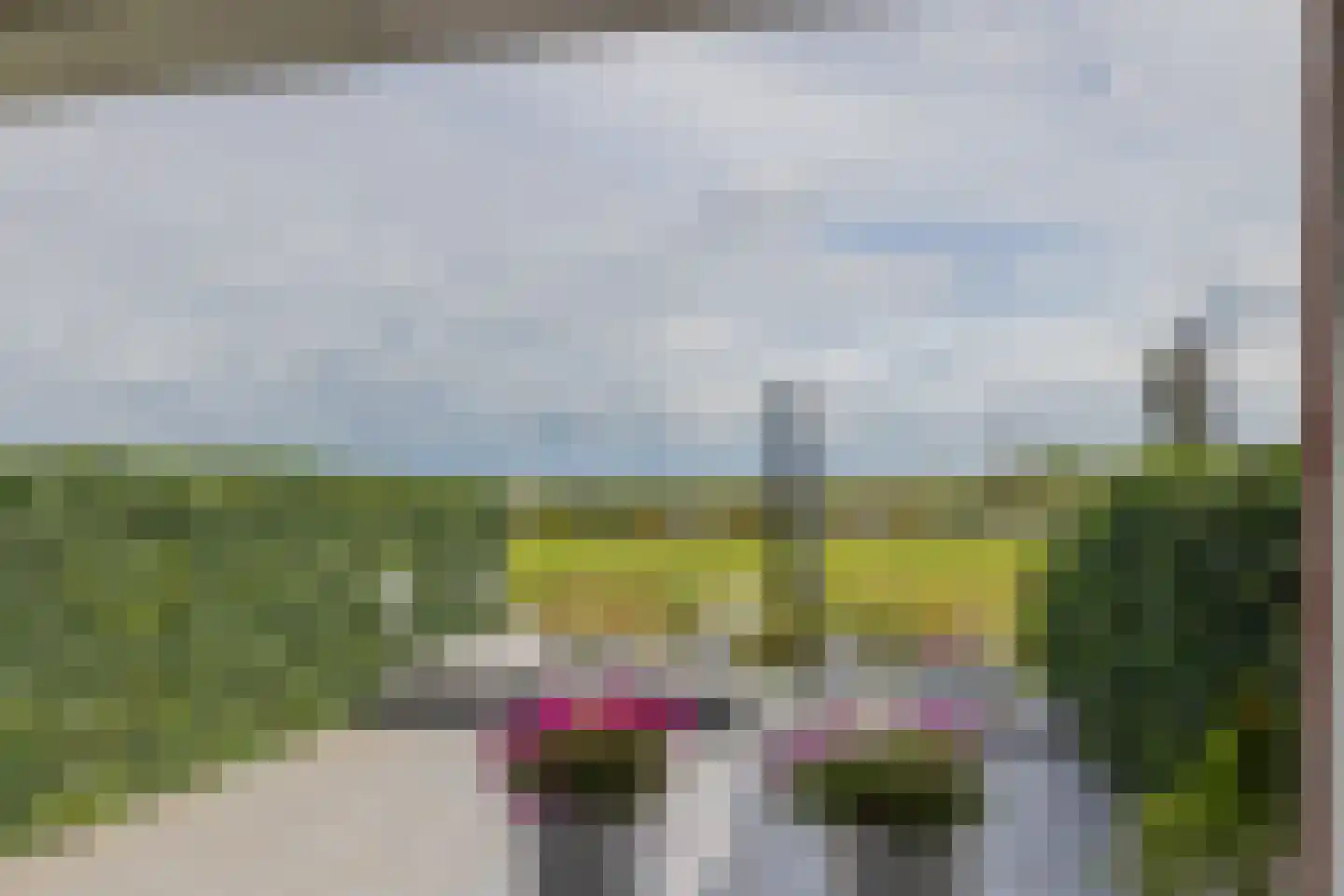 Jacqueline van der Waalsheem 39 Hillegom thumbnail 22