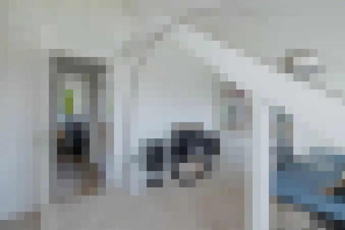 Jacqueline van der Waalsheem 39 Hillegom thumbnail 53