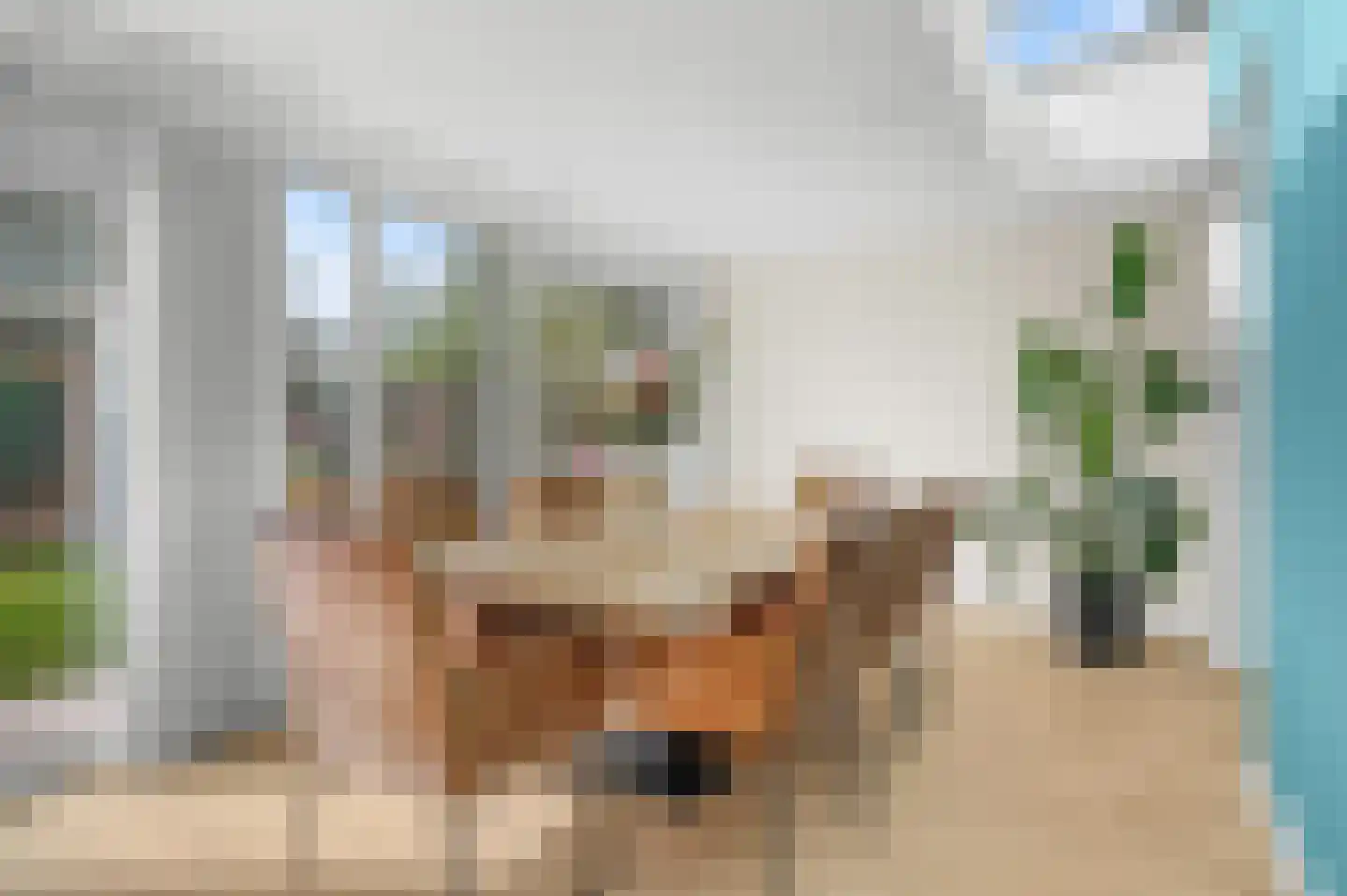 Jacqueline van der Waalssingel 59 Apeldoorn thumbnail 16