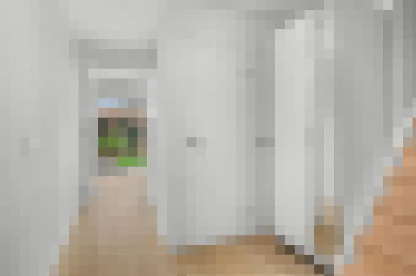 Jacqueline van der Waalssingel 59 Apeldoorn thumbnail 18