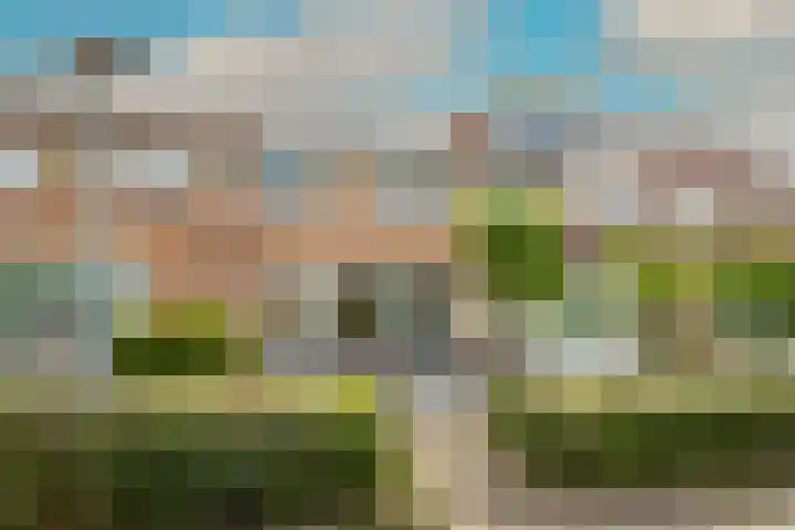 Jacques Bloemhof 112 Hoorn thumbnail 48