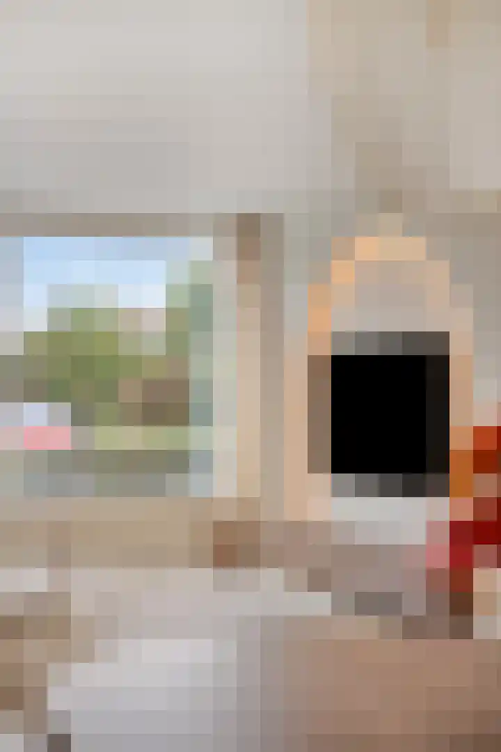 Jacques Bloemhof 113 Hoorn thumbnail 13