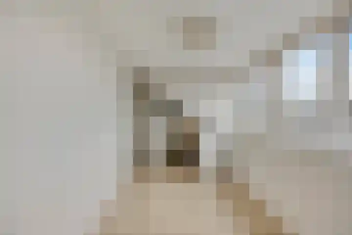 Jacques Bloemhof 113 Hoorn thumbnail 33