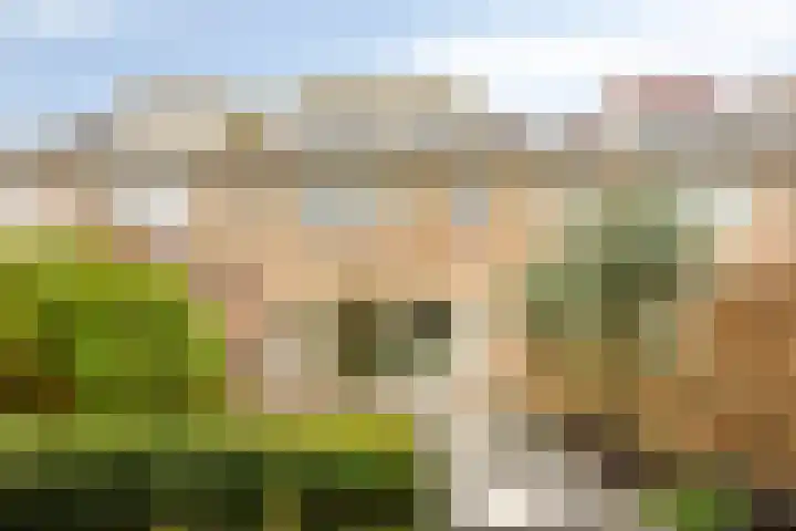 Jacques Bloemhof 113 Hoorn thumbnail 38