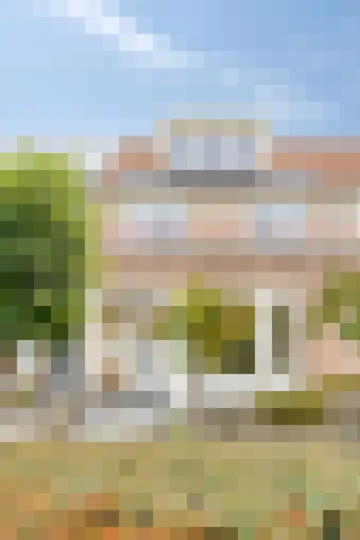 Jacques Bloemhof 113 Hoorn thumbnail 41