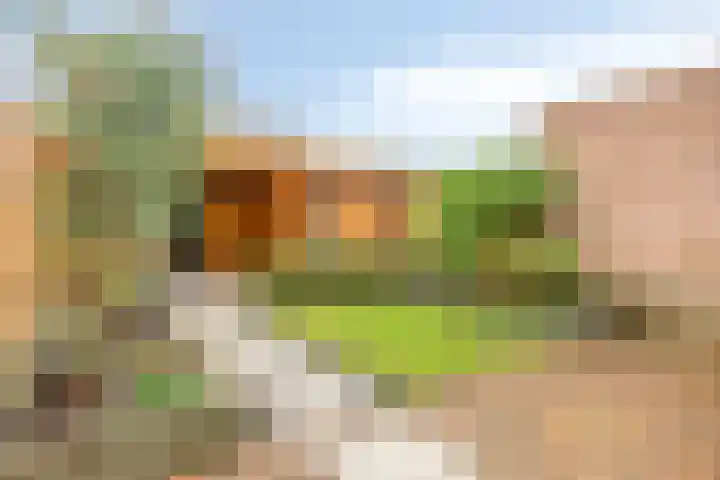 Jacques Bloemhof 113 Hoorn thumbnail 5