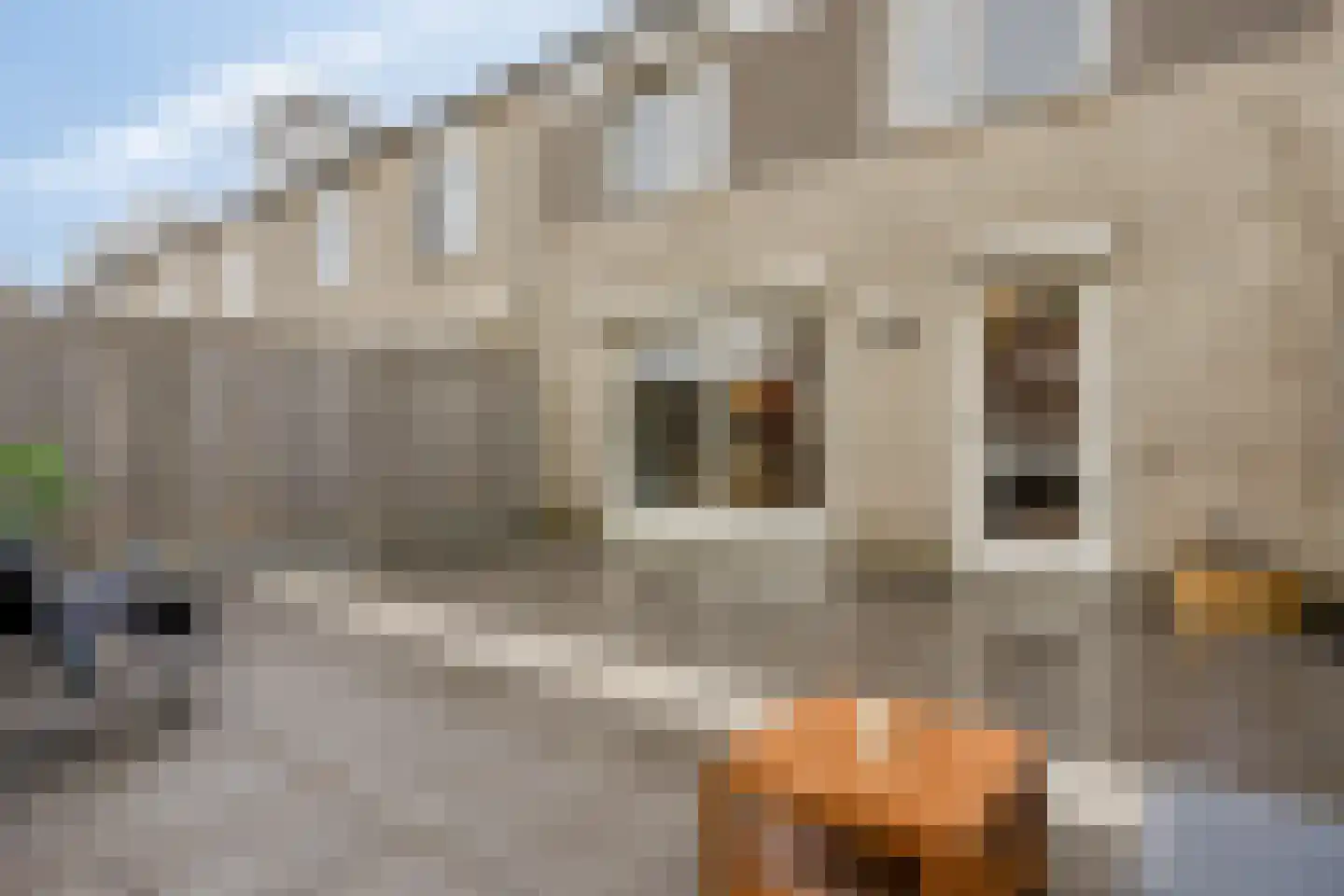 Jacques Bloemhof 131 Hoorn thumbnail 29