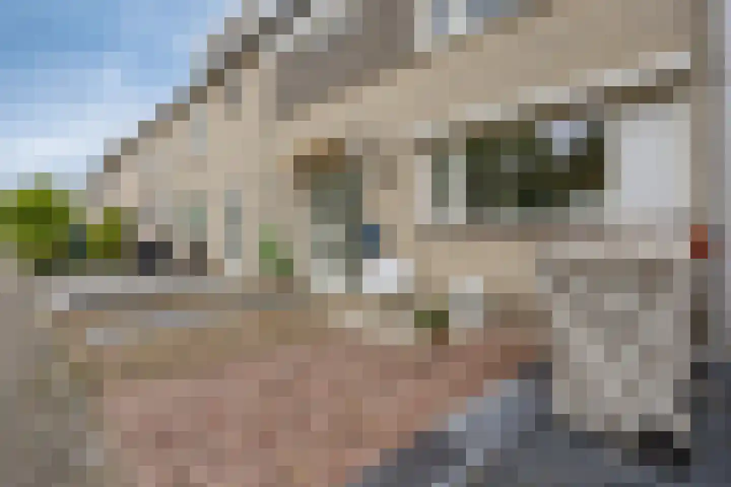 Jacques Bloemhof 131 Hoorn thumbnail 38