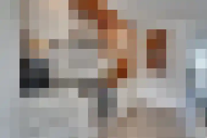 Jacques Bloemhof 60 Hoorn thumbnail 22