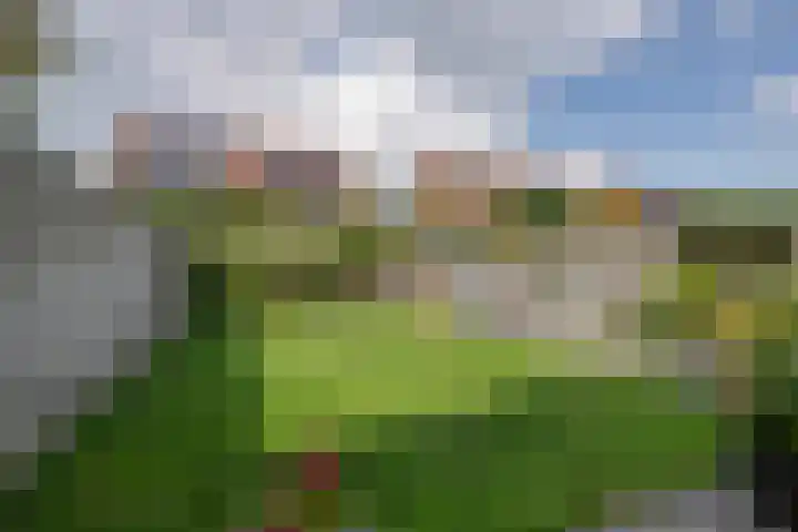 Jacques Bloemhof 60 Hoorn thumbnail 28
