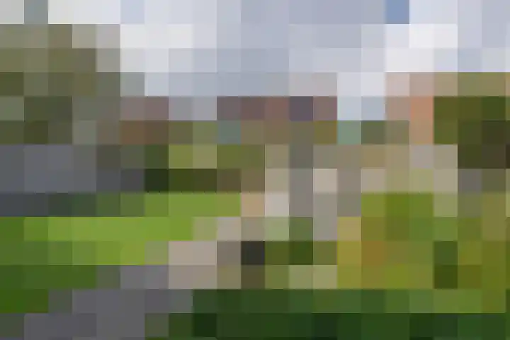 Jacques Bloemhof 60 Hoorn thumbnail 30