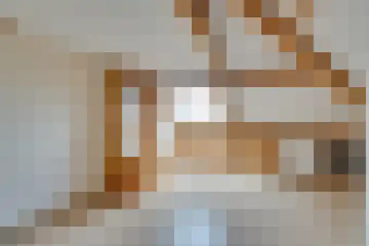 Jacques Bloemhof 60 Hoorn thumbnail 52