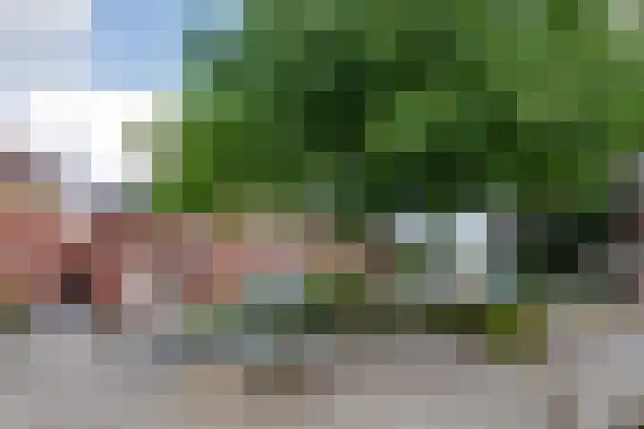 Jacques Bloemhof 60 Hoorn thumbnail 56