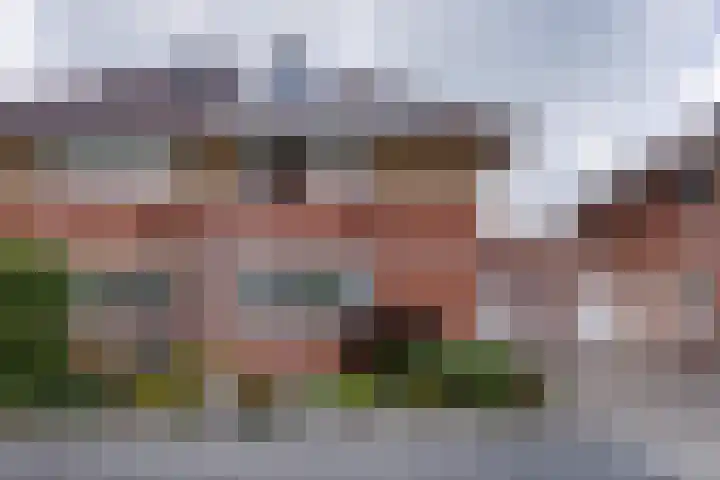 Jacques Bloemhof 60 Hoorn thumbnail 6